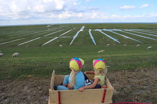 开云体育中国官网-青少年田径专项训练个性化方案探讨,青少年田径训练营 第3张 开云体育中国官网-青少年田径专项训练个性化方案探讨,青少年田径训练营 第3张