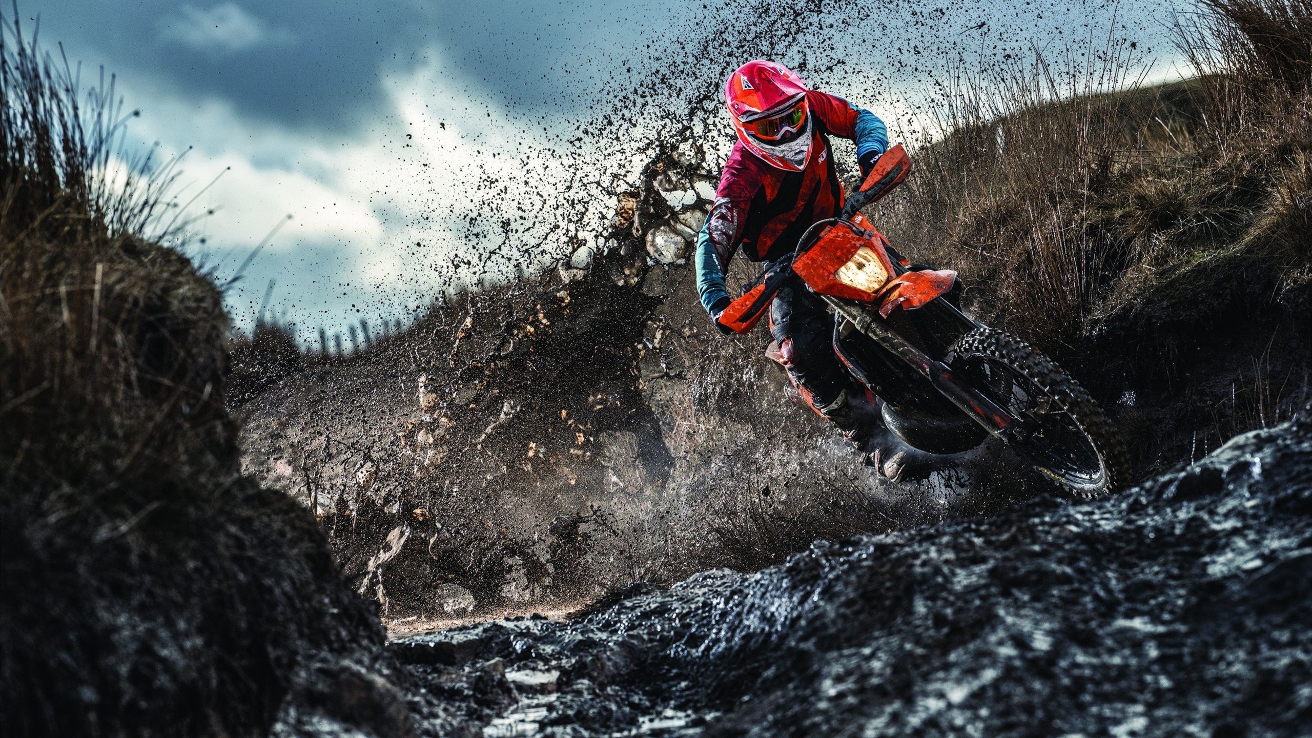 凯莉·麦基翁决赛冲线瞬间震撼全场,凯莉.麦基翁